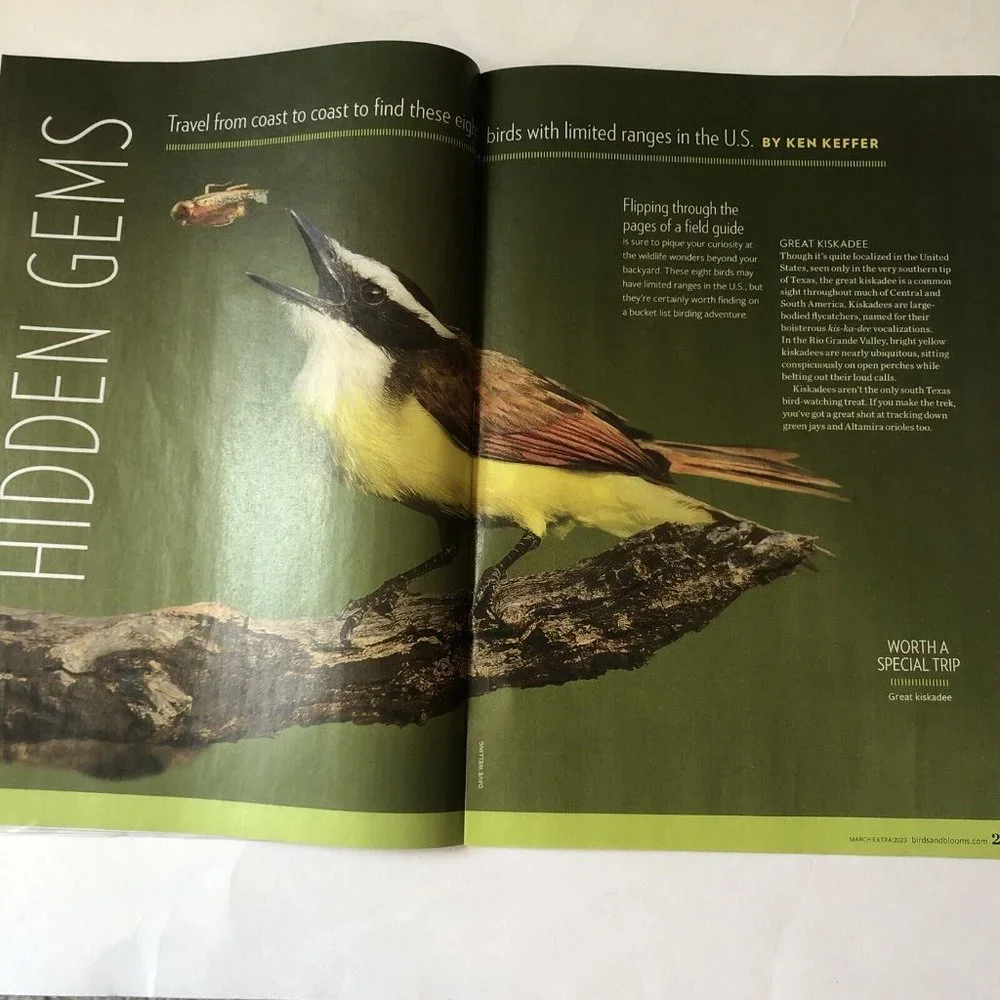 Birds and Blooms Mag March Extra 2023-Finches-Herbs-feeding hacks-ground cover